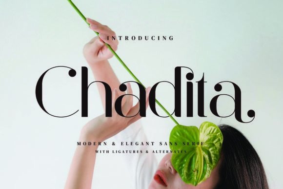 Chadita: A Minimalist Serif Font for Digital Design