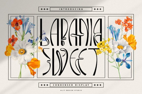 Lapania Sweet: A Modern Sans Serif Typeface for Editors
