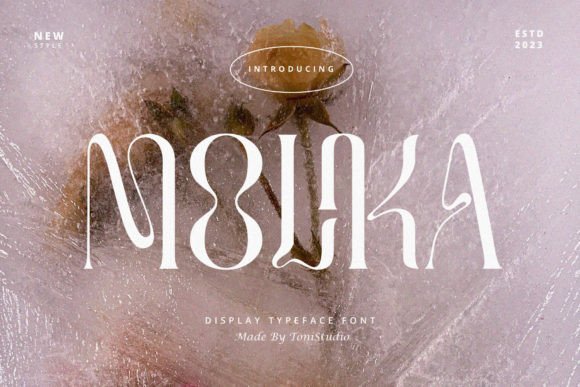 Molika: A Unique Experimental Serif for Makers