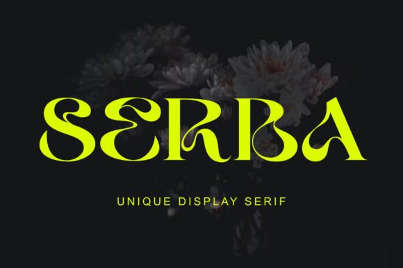 Serba: A Unique Serif Display Font for Branding